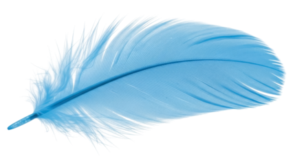 Light blue feather isolated PNG on transparent background, delicate plumage element for design and decoration projects