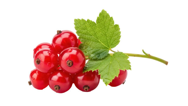 Redcurrant berries with green leaf isolated PNG, fresh juicy currants on transparent background for healthy eating and summer fruit designs