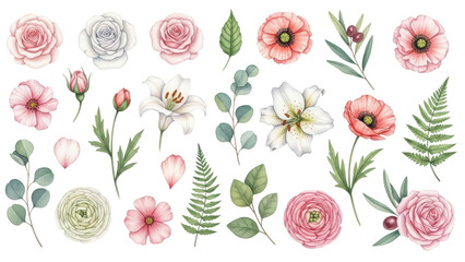 Floral elements collection, watercolor flower set