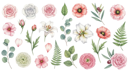 Floral elements collection, watercolor flower set