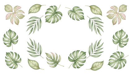 Exotic plants leaf set on an isolated white background, watercolor vector illustration. Wedding frame elements collection. Elegant foliage design for wedding, card, invitation, greeting