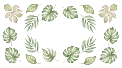 Exotic plants leaf set on an isolated white background, watercolor vector illustration. Wedding frame elements collection. Elegant foliage design for wedding, card, invitation, greeting