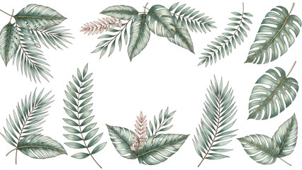 Exotic plants leaf set on an isolated white background, watercolor vector illustration. Wedding frame elements collection. Elegant foliage design for wedding, card, invitation, greeting