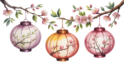 Three hanging lanterns with cherry blossom in watercolor style isolated on a transparent background