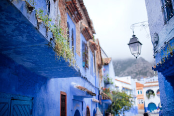 Vibrant blue alleyway with traditional architecture, adorned with greenery and a vintage lantern, creating a picturesque scene of cultural heritage and charm
