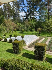 Garden beds with tiled paths, spring planting with spanuond.