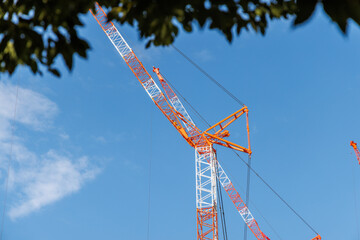 2基の赤白に塗装された建設用クレーンと木立と青空