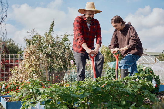 Two people gardening and chatting on an allotment vegetable patch outdoors