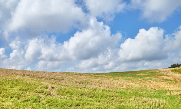 Rural landscape ona sunny day, Poland.