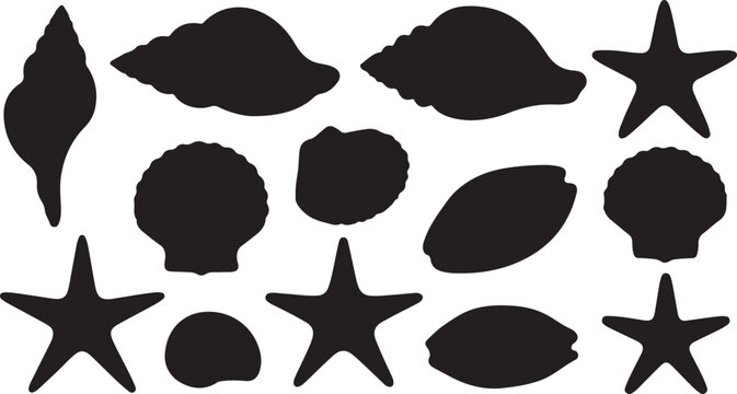 Set of different black sea shells and starfish vector illustration