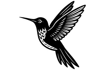 Fototapeta premium vector illustration of a bird, Stylized Hummingbird Vector, Silhouette Illustration