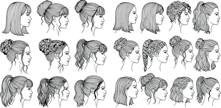 Diverse collection of female hairstyles showcased in clean line art, viewed from a flattering side profile