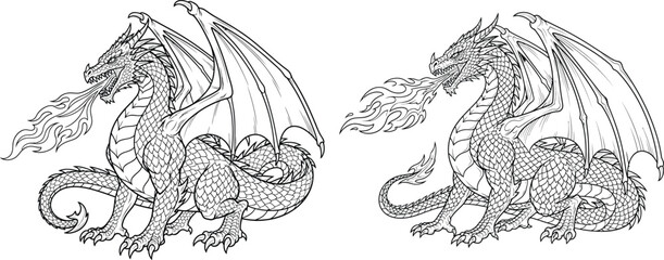Fototapeta premium Outline illustration of two fantasy dragons breathing mighty flames, ready for a coloring activity