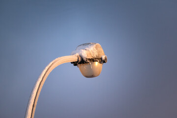 Snow in the garden and outside