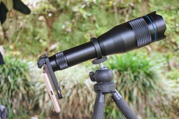 Professional photography equipment featuring a long lens and tripod with a green nature background.