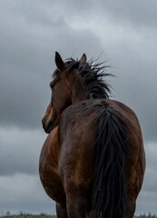 Quiet Power in Blue Grey Skies