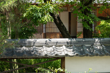 紫陽花と日本家屋