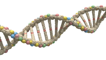 Colorful DNA molecule model isolated PNG, double helix structure with pastel spheres on transparent background, genetic code for science and education
