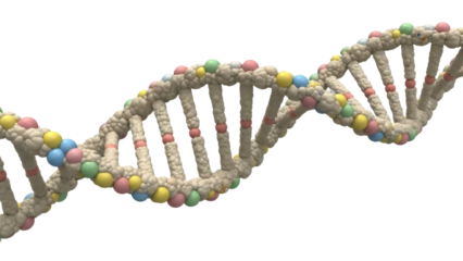 Colorful DNA molecule model isolated PNG, double helix structure with pastel spheres on transparent background, genetic code for science and education