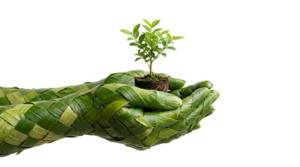 Hands Woven from Leaves Holding Small Green Plant Sprout Isolated on White Eco Friendly Sustainability Concept