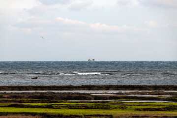 moss-covered beach and sea