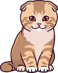 Obraz premium A cute, fluffy, folded-ear kitten with brown and cream tabby markings, sitting attentively