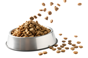 Ultra realistic close-up of a pet food bowl filled with dry kibble, additional kibble pieces falling from above into the bowl, frozen mid-air, sharp focus, high detail texture, clean studio lighting, 