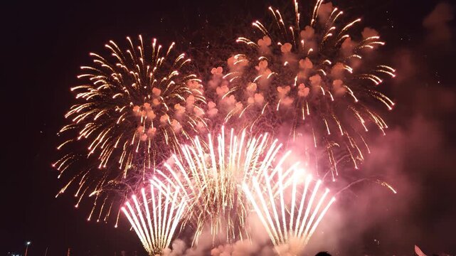Colorful fireworks exploding in night sky