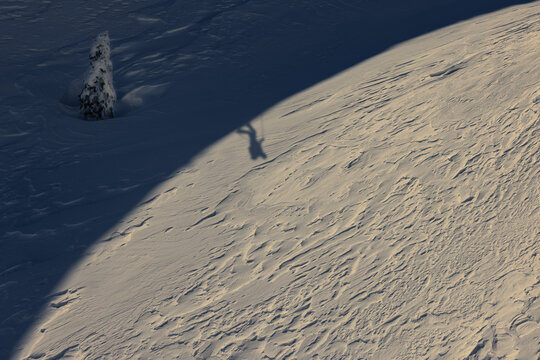 Aerial view of a snow-covered landscape casting long shadows, with a solitary tree dusted in white, Zelezniki, Skofja Loka, Slovenia.