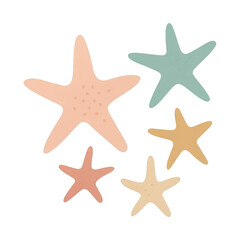 Obraz premium PNG Colorful starfish wall decor