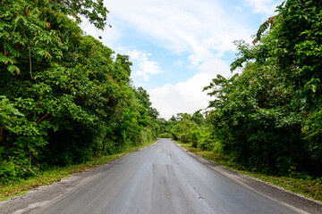 Obraz premium A quiet rural road stretches forward between thick green vegetation under a partly cloudy sky, with wet pavement reflecting recent rainfall. The lush surroundings and open roadway evoke a sense of