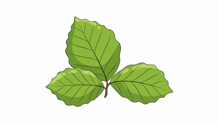 Fototapeta premium A stylized illustration of three bright green leaves with serrated edges on a simple stem
