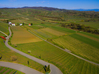 Weinberge Reben von oben Drohnenaufnahmen