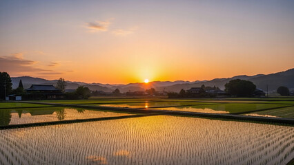 A beautiful summer landscape view of the orange sun rising and setting over the river horizon with red clouds and sunlight reflecting on the water and trees at dawn and dusk
