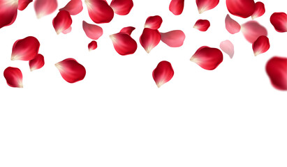 Falling Rose Petals Background