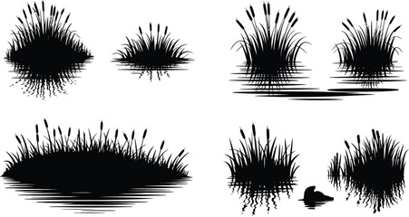 Wetland Reeds Swamp Grass Silhouette