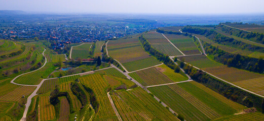 Weinberge Reben von oben Drohnenaufnahmen