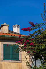 Traditional house facade with bougainvillea flowers and green shutters in Porto Portugal, Porto, 11 November 2025