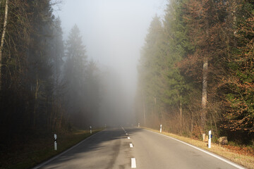 An empty rural, mountain bending road, leading into thick autumn fog. Low driving visibility concept of road safety