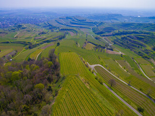 Weinberge Reben von oben Drohnenaufnahmen