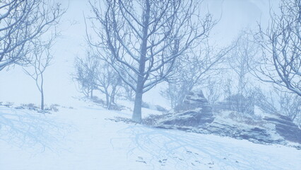A serene winter scene unfolds as bare trees rise against a backdrop of soft, white snow. The ground is covered in fresh snow, creating a peaceful, quiet atmosphere.