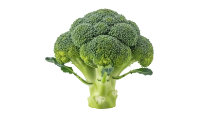 Fresh green broccoli isolated PNG, healthy vegetable on transparent background, nutritious food for vegan and vegetarian diets