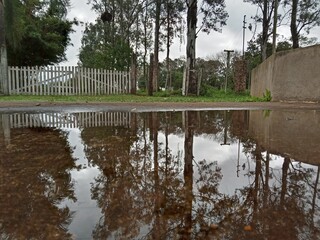 Reflejo simétrico de árboles y vegetación en la superficie calma de un lago o río durante un día soleado