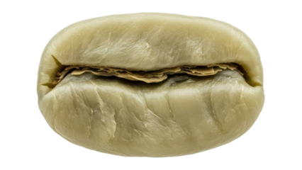 Unroasted green coffee bean PNG isolated on transparent background, raw coffee seed for roasting and beverage preparation