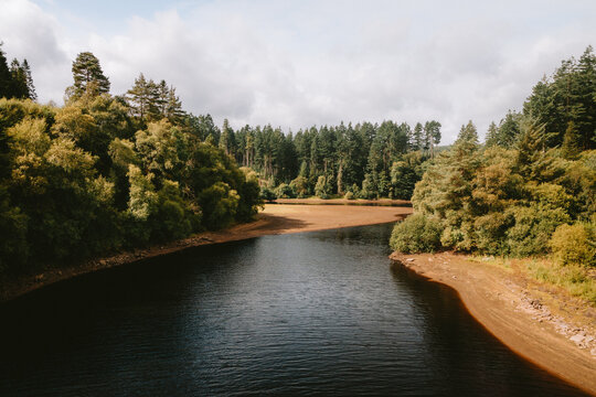 Forest paths and woodland scenery in Kielder Forest, Northumberland, UK.