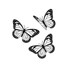 three black and white butterflies on a white background