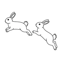 two rabbits are jumping in the air with white background