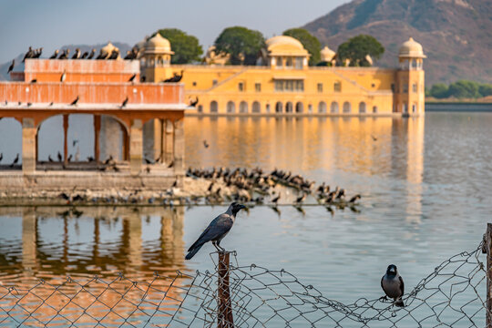 Jal Mahal. Palace on the water. Man Sagar, Jaipur, India