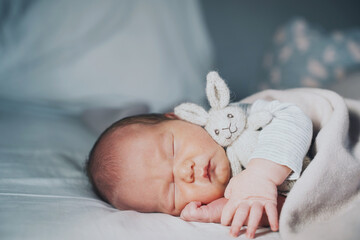 Newborn sleep at first days of life. Portrait of new born baby one week old with cute soft toy in crib in cloth background.