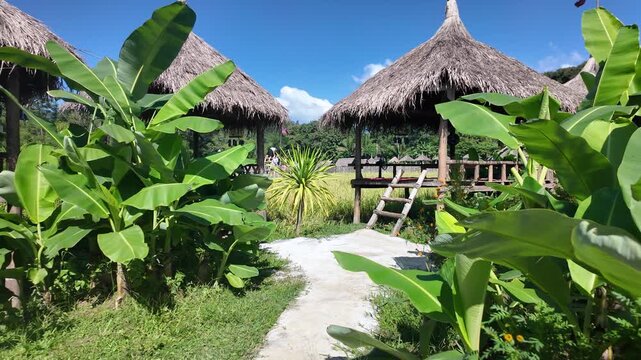 Scenic thatched huts in Luang Prabang Laos are surrounded by lush greenery under a bright blue sky.